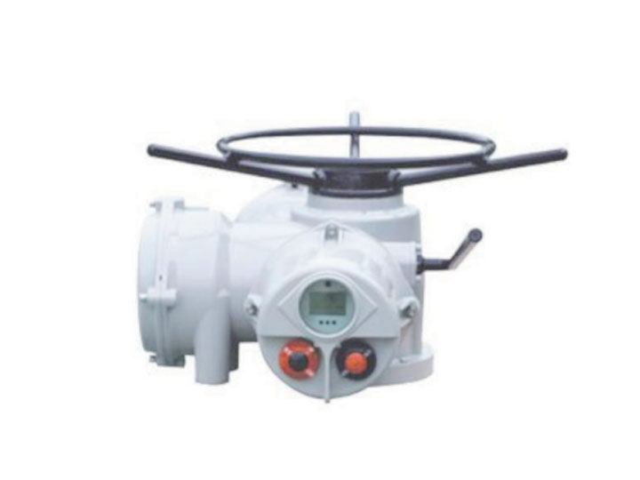 AIQ 智能電動執(zhí)行機(jī)構(gòu)